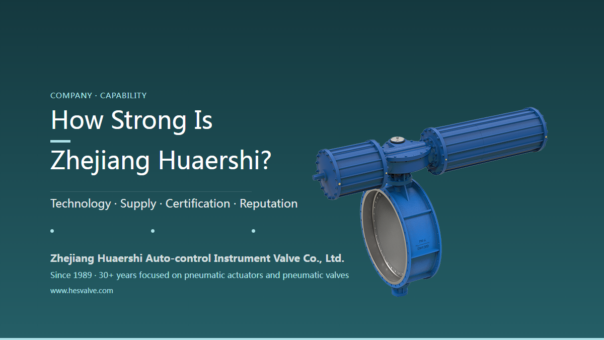 How Strong Is Zhejiang Huaershi? Capability and Industry Ranking